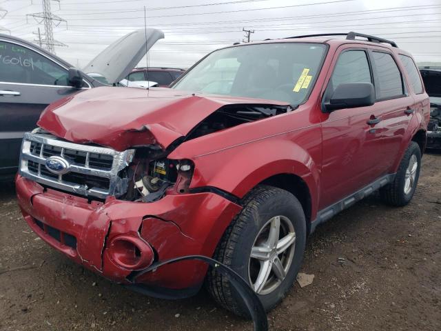 1FMCU0DG9CKA48903 - 2012 FORD ESCAPE XLT RED photo 1