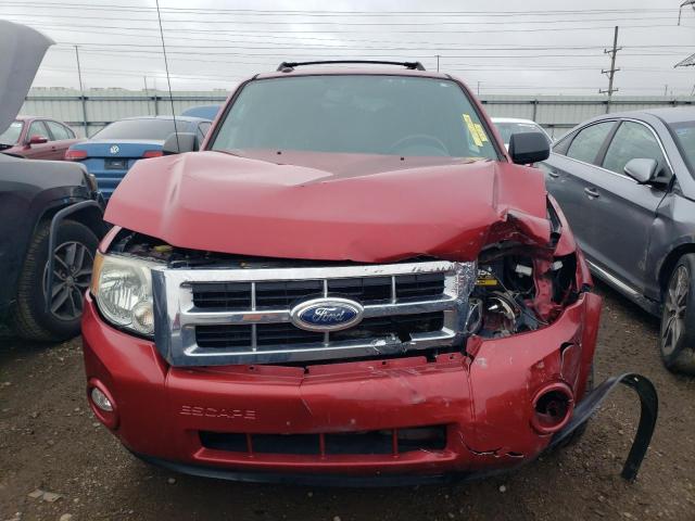 1FMCU0DG9CKA48903 - 2012 FORD ESCAPE XLT RED photo 5