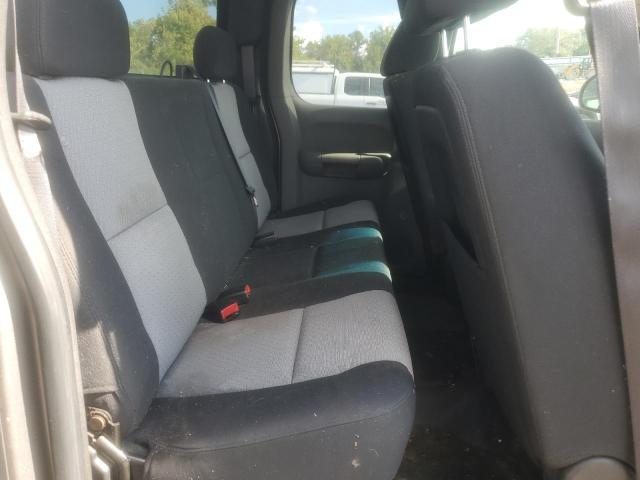 1GCEC19X59Z179583 - 2009 CHEVROLET SILVERADO C1500 თაფლისფერი ფოტო 10