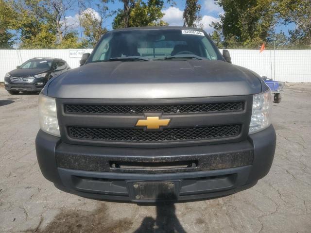 1GCEC19X59Z179583 - 2009 CHEVROLET SILVERADO C1500 თაფლისფერი ფოტო 5