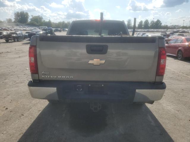 1GCEC19X59Z179583 - 2009 CHEVROLET SILVERADO C1500 თაფლისფერი ფოტო 6