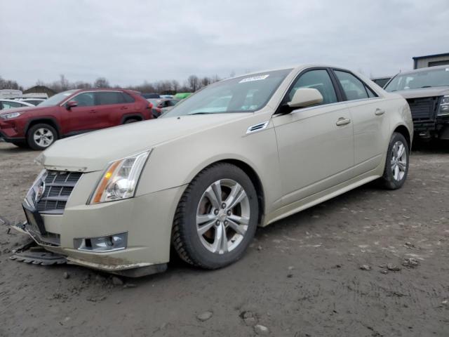 1G6DL5EG8A0108608 - 2010 CADILLAC CTS PERFORMANCE COLLECTION CREAM photo 1