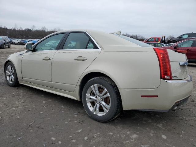 1G6DL5EG8A0108608 - 2010 CADILLAC CTS PERFORMANCE COLLECTION CREAM photo 2