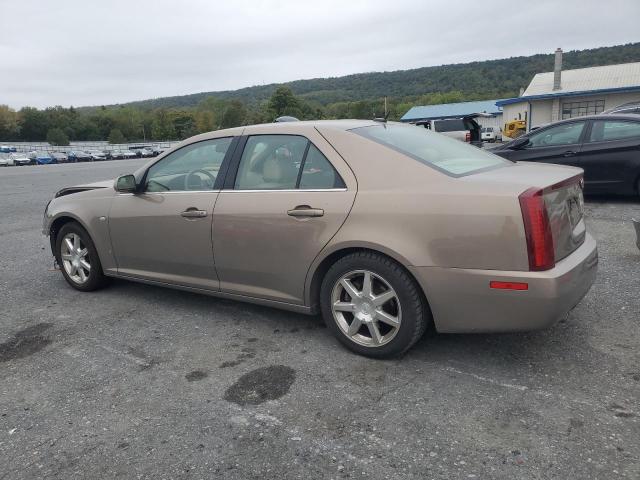 1G6DW677160189663 - 2006 CADILLAC STS 金色 照片 2
