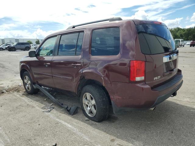 5FNYF3H4XAB013755 - 2010 HONDA PILOT EX 勃艮第红 照片 2
