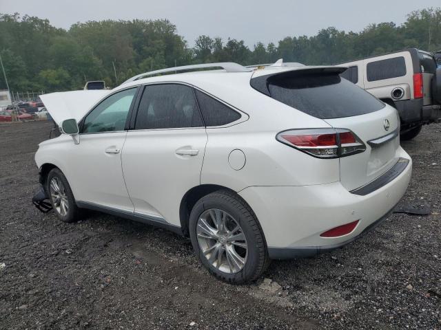 2T2BK1BA1DC185066 - 2013 LEXUS RX 350 BASE WHITE photo 2