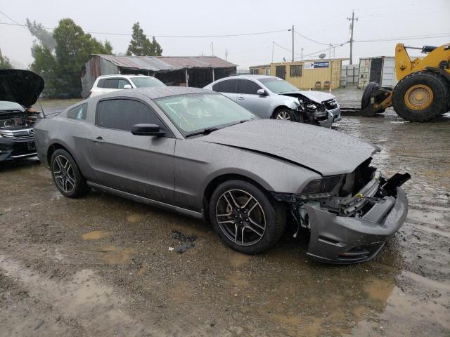 1ZVBP8AM1E5333254 - 2014 FORD MUSTANG GRAY photo 4