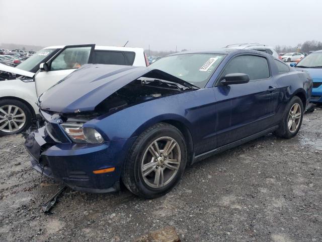 1ZVBP8AM6C5269466 - 2012 FORD MUSTANG BLUE photo 1
