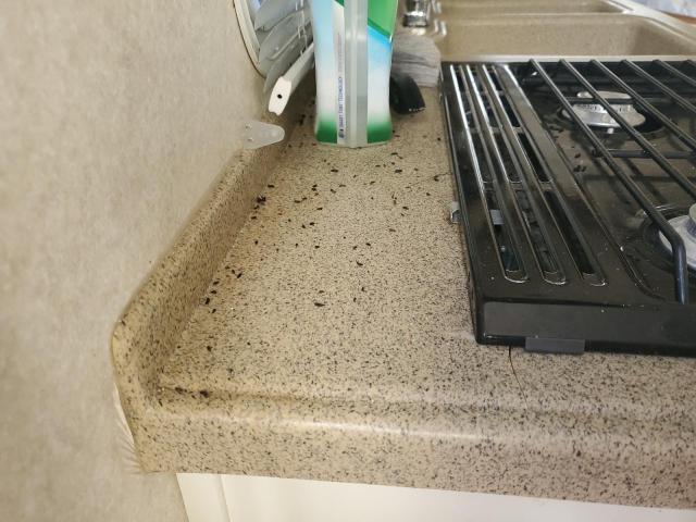 4YDT21R295G911361 - 2005 KEYSTONE OUTBACK WHITE photo 9