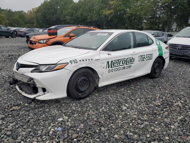 2019 TOYOTA CAMRY LE, 