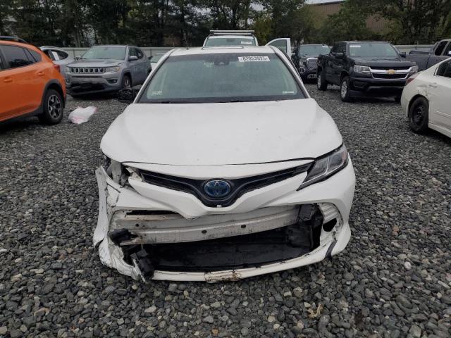 4T1B31HK6KU006792 - 2019 TOYOTA CAMRY LE Blanco foto 5
