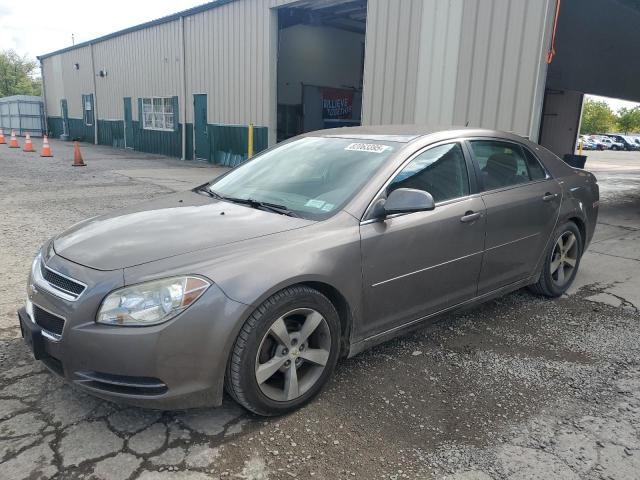 2011 CHEVROLET MALIBU 1LT, 