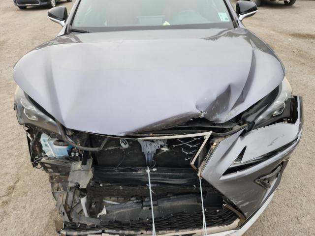 JTJYARBZ7J2093392 - 2018 LEXUS NX 300 BASE Сұр фото 12