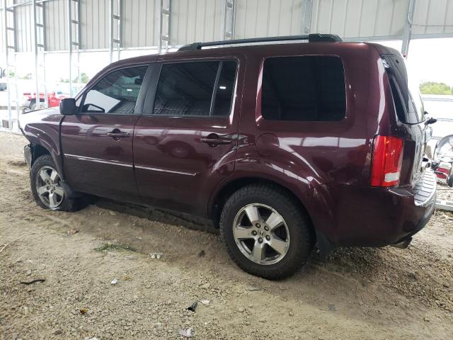 5FNYF4H6XAB024973 - 2010 HONDA PILOT EXL Bordo fotoğraf 2