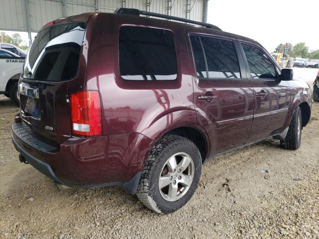 5FNYF4H6XAB024973 - 2010 HONDA PILOT EXL Bordo fotoğraf 3