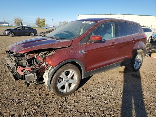 2014 FORD ESCAPE SE, 