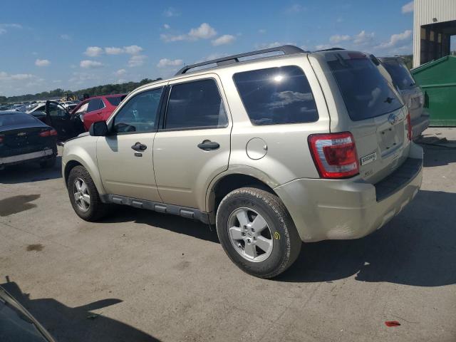 1FMCU0DGXCKC43876 - 2012 FORD ESCAPE XLT BEIGE photo 2