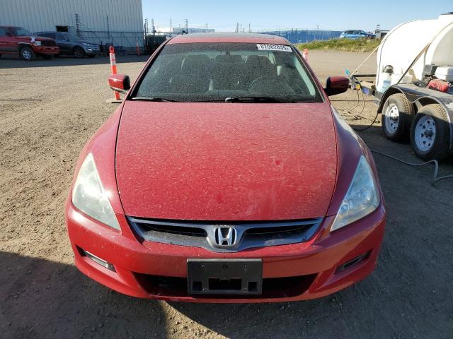 1HGCM72687A800515 - 2007 HONDA ACCORD EX 红色 照片 5