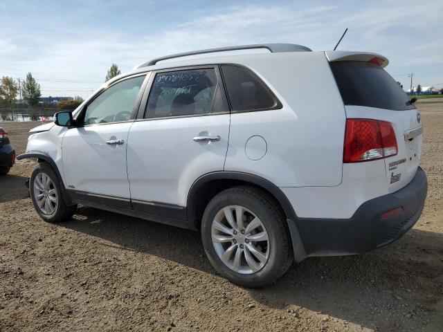 5XYKUDA26BG158926 - 2011 KIA SORENTO EX 白色 照片 2