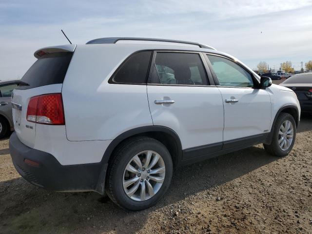 5XYKUDA26BG158926 - 2011 KIA SORENTO EX 白色 照片 3