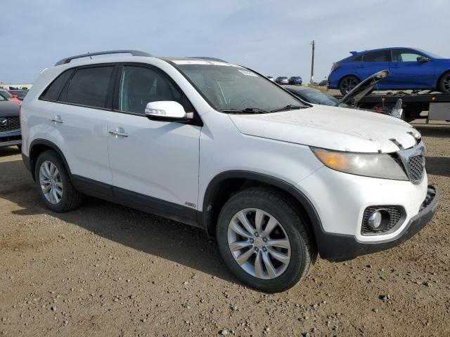 5XYKUDA26BG158926 - 2011 KIA SORENTO EX 白色 照片 4