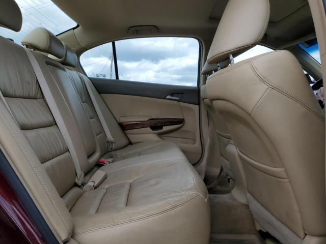 1HGCP36899A041470 - 2009 HONDA ACCORD EXL BURGUNDY photo 10