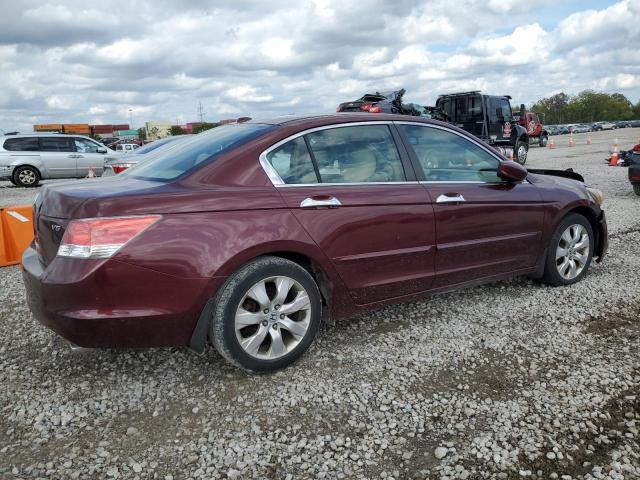 1HGCP36899A041470 - 2009 HONDA ACCORD EXL BURGUNDY photo 3