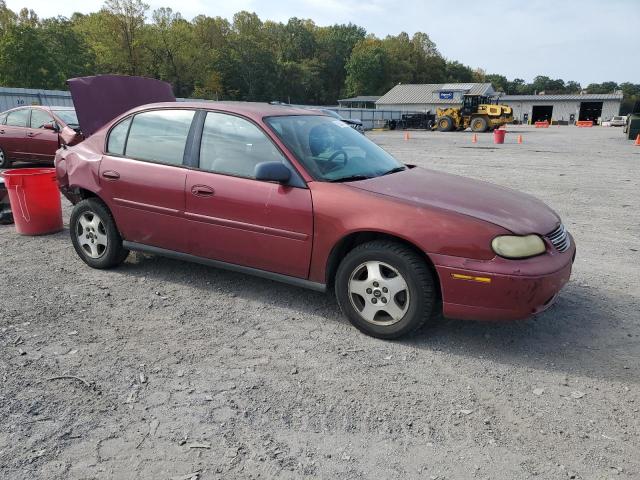 1G1ND52F64M686836 - 2004 CHEVROLET MALIBU BURGUNDY photo 4