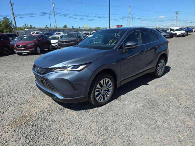 2023 TOYOTA VENZA LE, 