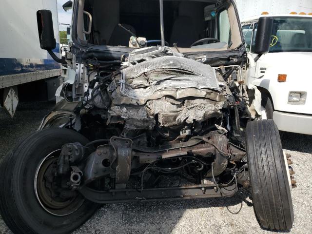 3AKJGLD52GSHV2816 - 2016 FREIGHTLINER CASCADIA 1 Սպիտակ լուսանկար 9