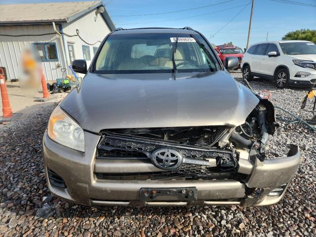 2T3BF4DV7BW110756 - 2011 TOYOTA RAV4 Qəhvəyi foto 5