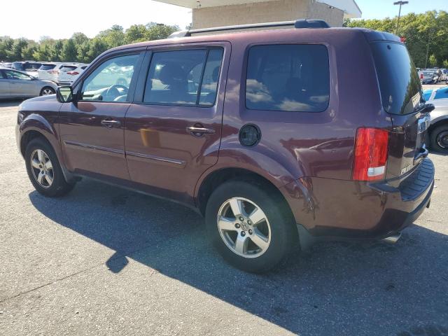 5FNYF4H54BB038778 - 2011 HONDA PILOT EXL ბურგუნდია ფოტო 2