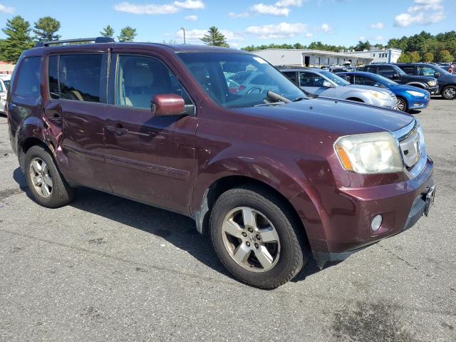 5FNYF4H54BB038778 - 2011 HONDA PILOT EXL ბურგუნდია ფოტო 4