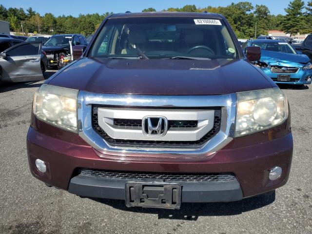 5FNYF4H54BB038778 - 2011 HONDA PILOT EXL ბურგუნდია ფოტო 5