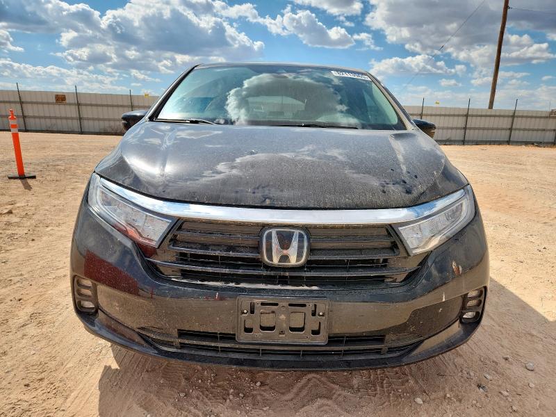 5FNRL6H65RB063765 - 2024 HONDA ODYSSEY EXL BLACK photo 5