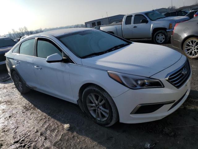 5NPE24AF5GH421879 - 2016 HYUNDAI SONATA SE WHITE photo 4