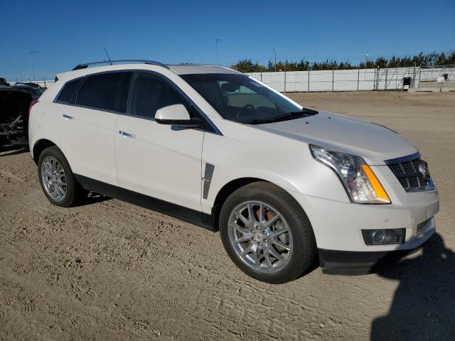 3GYFNFE60BS541843 - 2011 CADILLAC SRX PREMIUM COLLECTION 白色 照片 4