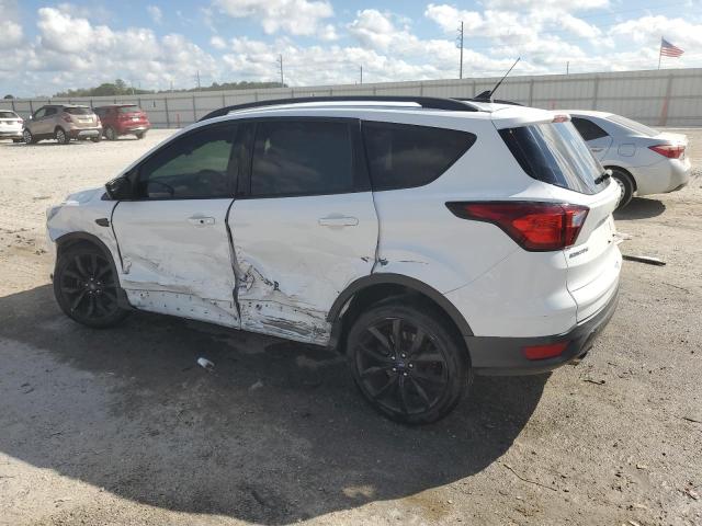 1FMCU0GD1KUB95463 - 2019 FORD ESCAPE SE 白色 照片 2