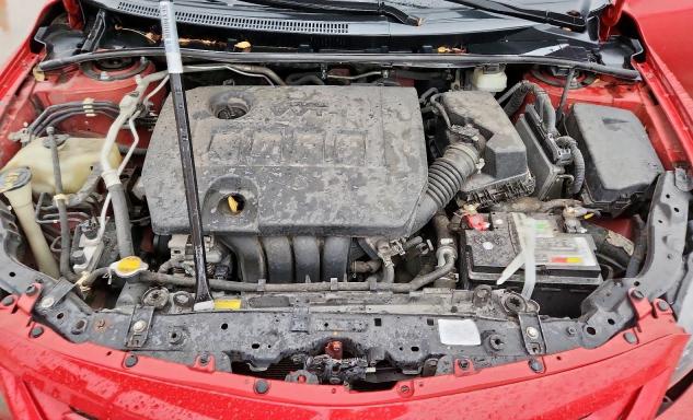 2T1BU4EE4BC653044 - 2011 TOYOTA COROLLA BASE Rot Foto 11