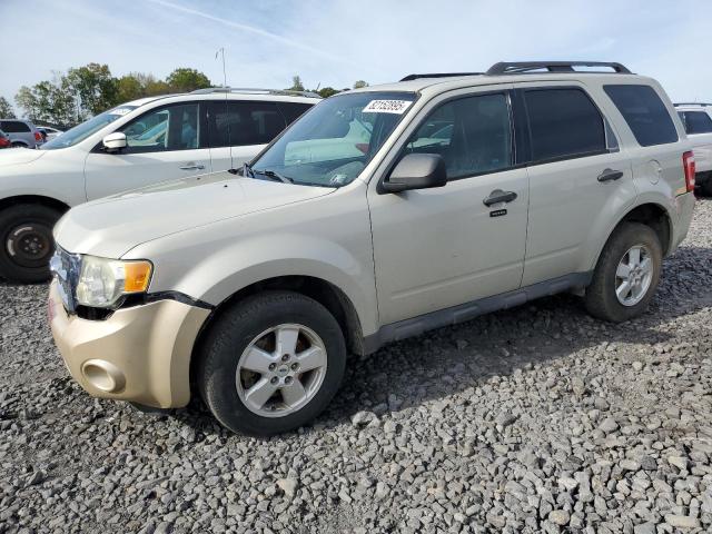 2009 FORD ESCAPE XLT, 