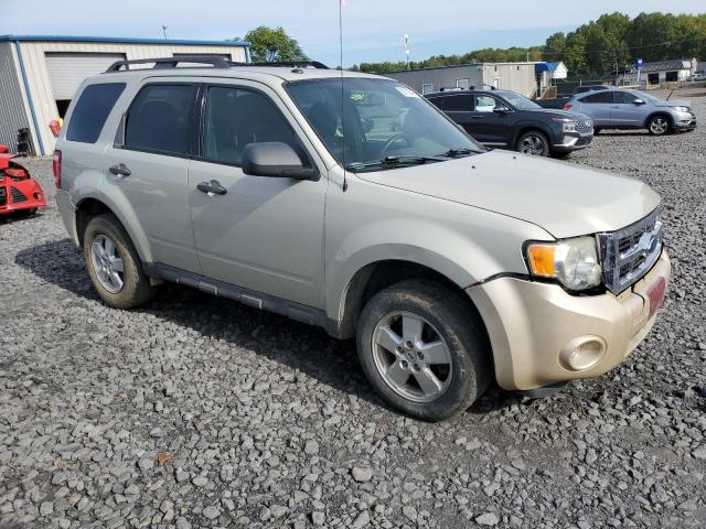 1FMCU93G39KA26202 - 2009 FORD ESCAPE XLT أسمر صورة 4