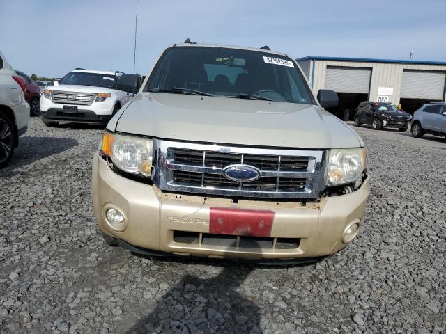 1FMCU93G39KA26202 - 2009 FORD ESCAPE XLT أسمر صورة 5