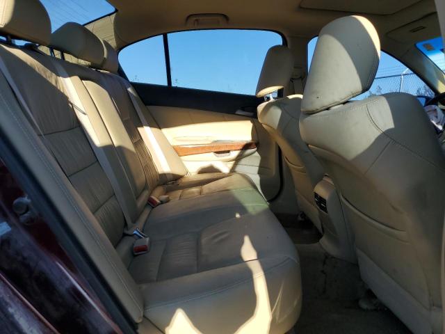 1HGCP2F86BA095566 - 2011 HONDA ACCORD EXL ბურგუნდია ფოტო 10