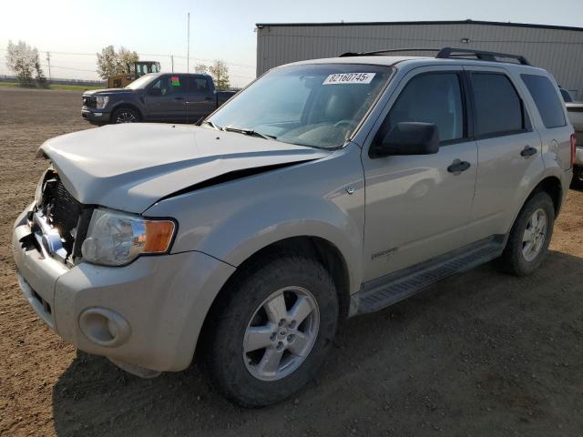 2008 FORD ESCAPE XLT, 