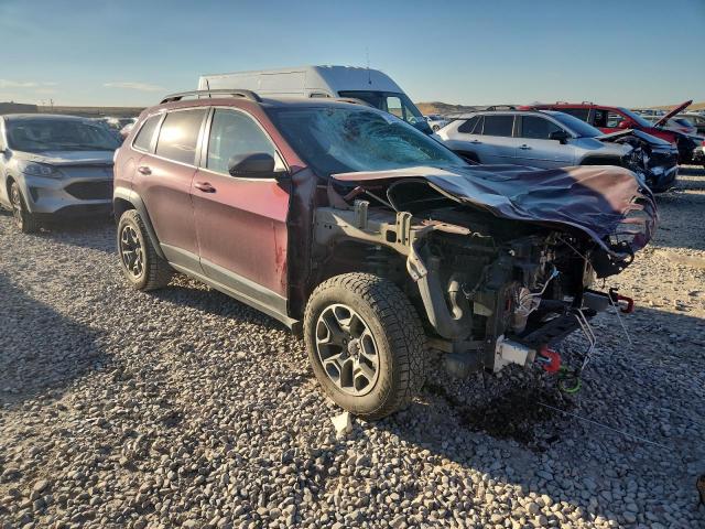 1C4PJMBX4LD509230 - 2020 JEEP CHEROKEE TRAILHAWK BURGUNDY photo 4