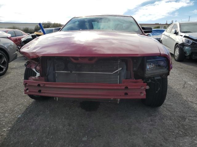 1ZVHT80N085209268 - 2008 FORD MUSTANG RED photo 5