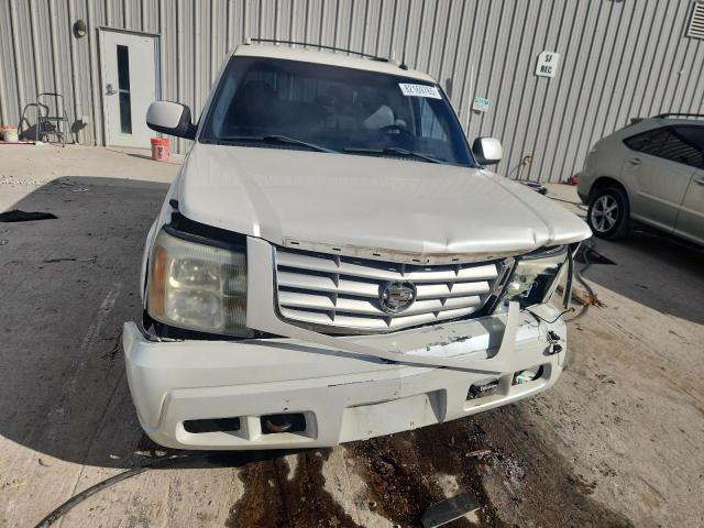 1GYEK63N73R234088 - 2003 CADILLAC ESCALADE LUXURY Ağ foto 5