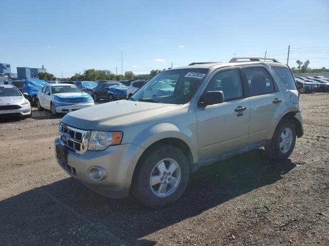 2010 FORD ESCAPE XLT, 