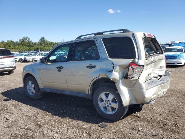 1FMCU0DG6AKA77742 - 2010 FORD ESCAPE XLT ოქროსფერი ფოტო 2
