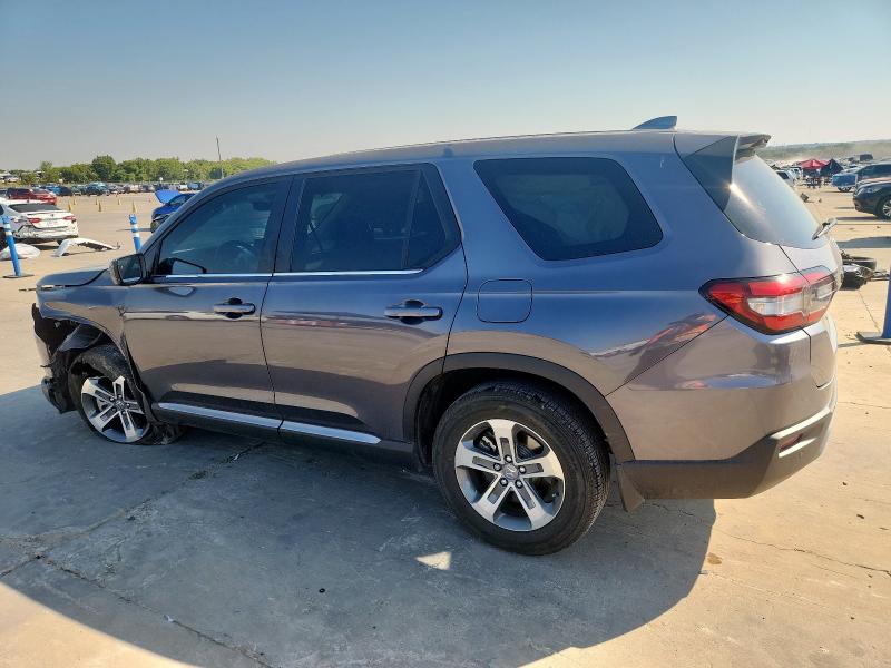 5FNYG2H51RB009489 - 2024 HONDA PILOT EXL GRAY photo 2